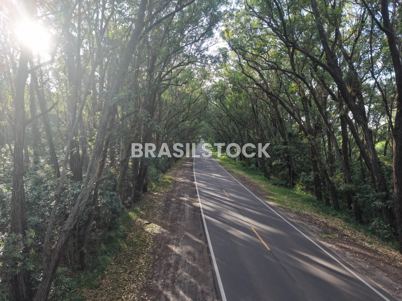 Balneário Pinhal - Tunel Verde - Drone 4K